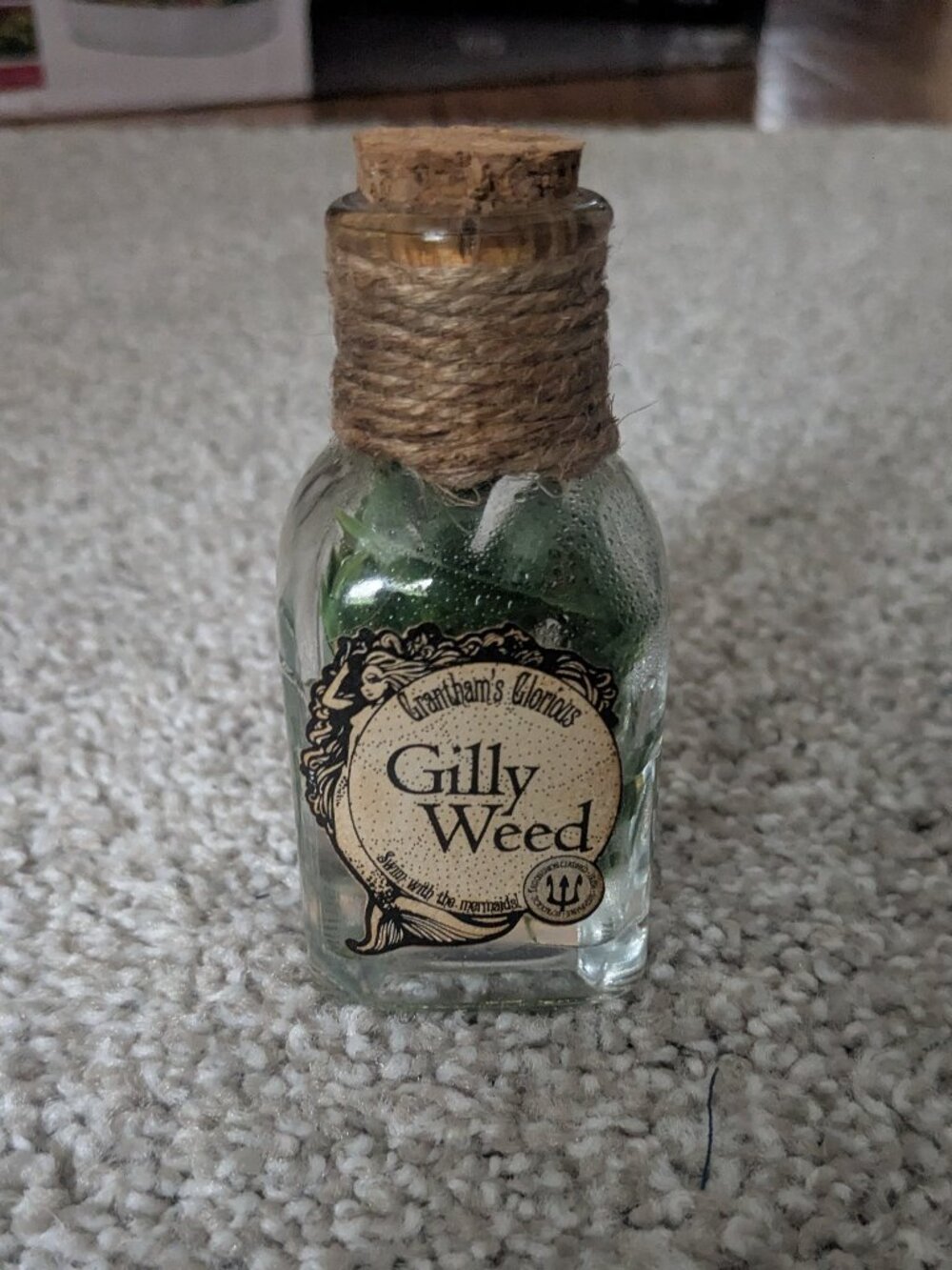 Grantham's Glorious Gillyweed Potion from Harry Potter Decorative Bottle